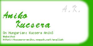aniko kucsera business card